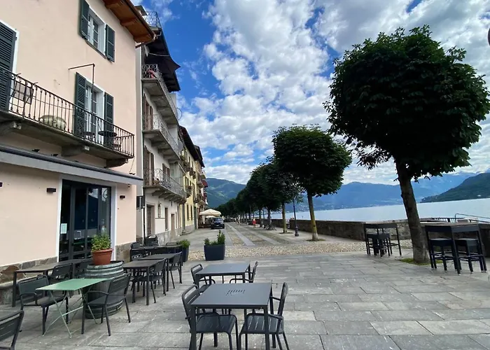 Stella * 카노비오